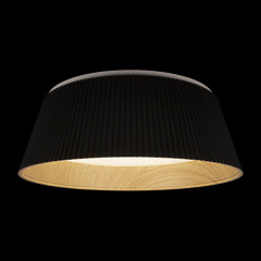 Потолочный светильник Loft IT Evans 10224 Black