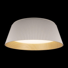Потолочный светильник Loft IT Evans 10224 White