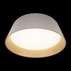 Потолочный светильник Loft IT Evans 10224 White