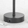 Подвесная люстра Lussole Loft Fishers LSP-8798