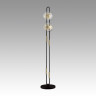 Торшер Odeon Light Magnet 5407/23FL