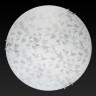 Настенно-потолочный светодиодный светильник Toplight Beatrice TL9280Y-00WH