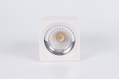 Накладной светильник Fiberli CH-SD220-1 12120101