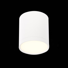 Потолочный светильник ST Luce Rene ST113.532.05