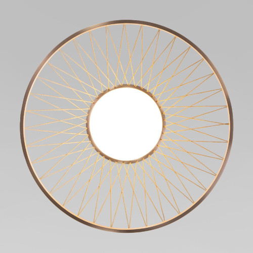 Потолочная люстра Eurosvet Cesta 40019/1 LED коричневый a069291