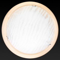 Настенно-потолочный светодиодный светильник Toplight Calista TL9490Y-00PN
