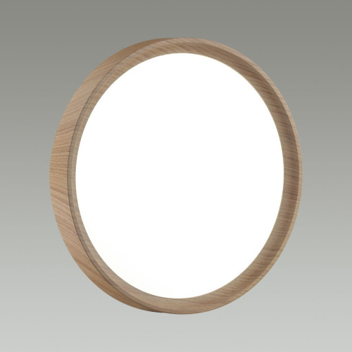 Настенно-потолочный светильник Sonex Woodi 7603/EL