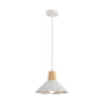 Подвесной светильник Lumion Suspentioni Eoliana 8352/1A