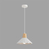 Подвесной светильник Lumion Suspentioni Eoliana 8352/1A