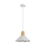 Подвесной светильник Lumion Suspentioni Eoliana 8352/1A