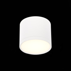 Потолочный светильник ST Luce Rene ST113.532.09
