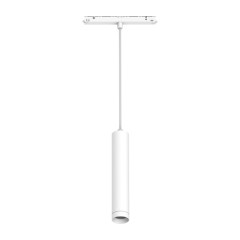 Трековый светильник Arlight Mag-Orient-Spot-Hang-R45-12W Day4000 035828