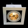 Встраиваемый светильник Arte Lamp Technika A5930PL-1WH