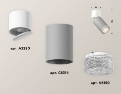 Спот Ambrella Light Techno Spot XM6314031 (A2220, C6314, N6150)