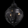 Подвесной светильник LOFT IT Lantern residential Loft3043-Bl
