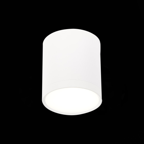 Потолочный светильник ST Luce Rene ST113.542.05