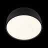 Потолочный светильник Loft IT Axel 10201/350 Black