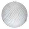Настенно-потолочный светодиодный светильник Toplight Calista TL9491Y-00WH