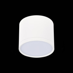 Потолочный светильник ST Luce Rene ST113.542.09