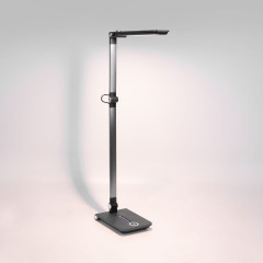 Настольная лампа Elektrostandard Great 4690389203428 TL70240 a065290