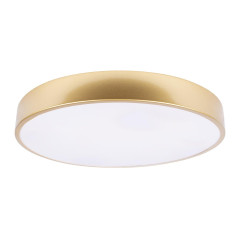 Потолочный светильник Loft IT Flims 10228/A