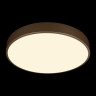 Потолочный светильник Loft IT Flims 10228/A