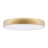 Потолочный светильник Loft IT Flims 10228/A