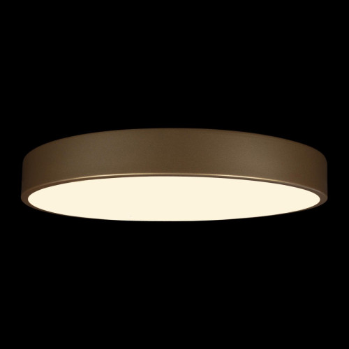 Потолочный светильник Loft IT Flims 10228/A