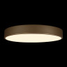 Потолочный светильник Loft IT Flims 10228/A