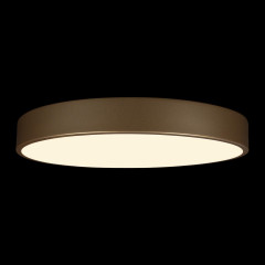 Потолочный светильник Loft IT Flims 10228/A