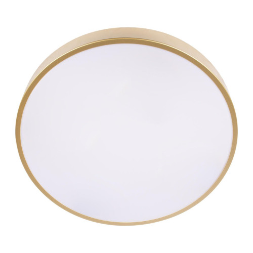 Потолочный светильник Loft IT Flims 10228/A