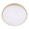Потолочный светильник Loft IT Flims 10228/A