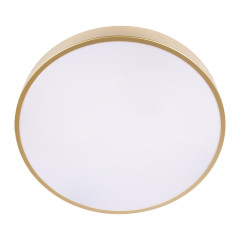 Потолочный светильник Loft IT Flims 10228/A