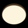 Потолочный светильник Loft IT Flims 10228/A