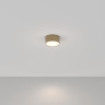 Потолочный светильник Maytoni Zon C032CL-12W4K-RD-MG