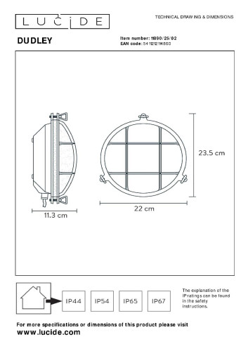 Уличный настенный светильник Lucide Dudley 11890/25/02