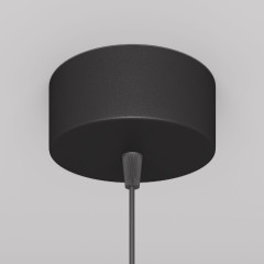 Подвесной светильник Maytoni Technical Orlo P085PL-12W4K-B
