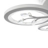 Потолочный светильник Freya Bodge FR10017CL-L92W