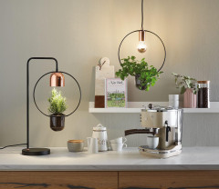 Подвесной светильник Paulmann 79749