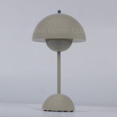 Настольная лампа Cloyd Erma 30133