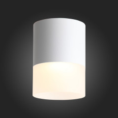 Накладной светильник ST Luce ST100.502.15