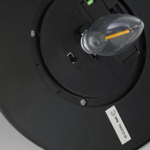 Уличный светильник Эра ERASF22-38 Б0053388