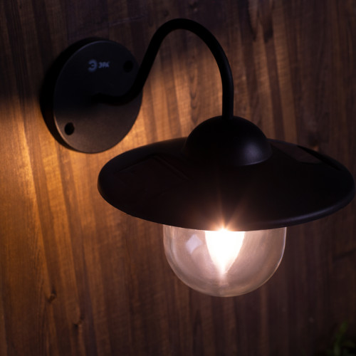 Уличный светильник Эра ERASF22-38 Б0053388