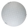 Настенно-потолочный светодиодный светильник Toplight Christina TL9520Y-00WH