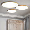 Потолочный светильник ImperiumLoft Slim 141008-26