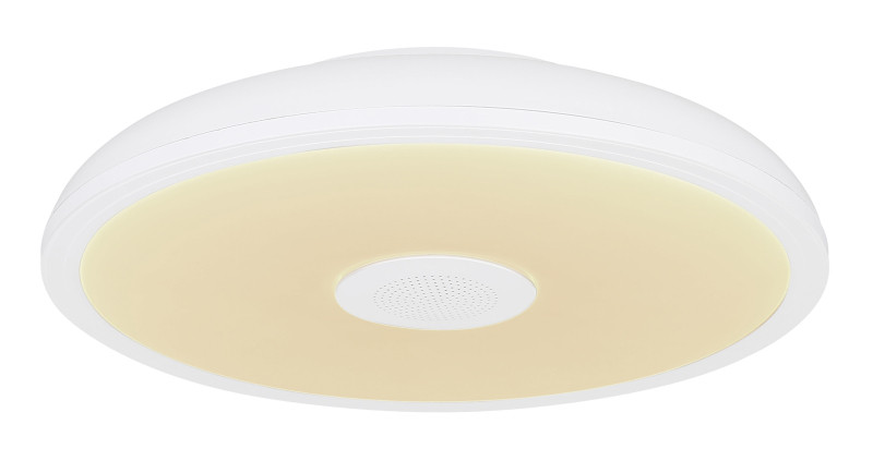 Потолочный светильник Globo Raffy 41366W