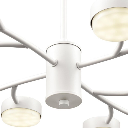 Люстра на штанге Lumion Comfi Torina 8265/12