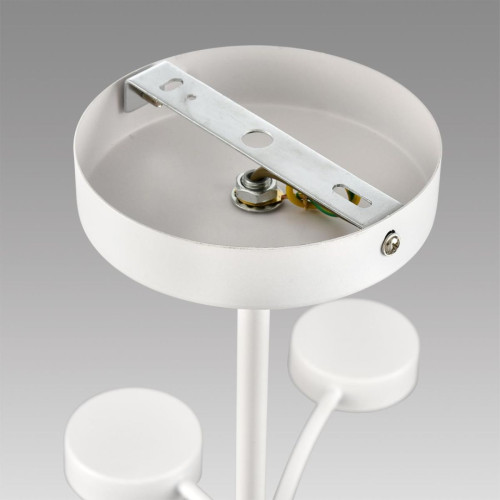 Люстра на штанге Lumion Comfi Torina 8265/12