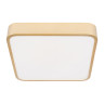 Потолочный светильник Loft IT Flims 10228/C