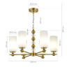 Подвесная люстра ST Luce Aurora SL2003.303.06